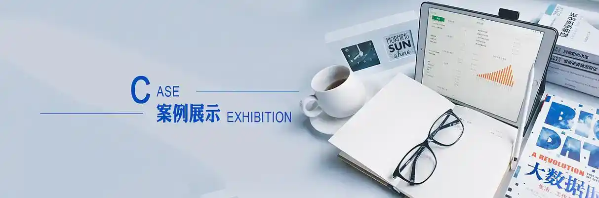 邱县软件开发